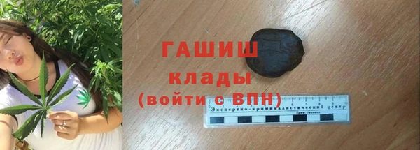 гидра Алексеевка