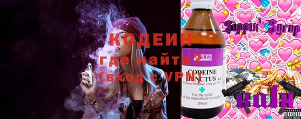 гашик Алзамай