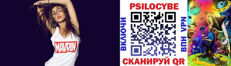 Псилоцибиновые грибы Psilocybine cubensis  купить наркоту  Северская 